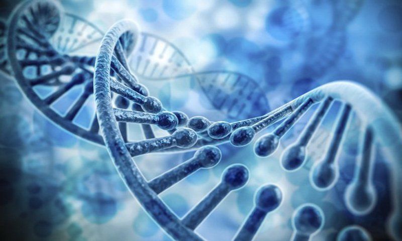 3 loại xét nghiệm di truyền trước làm tổ thường dùng
