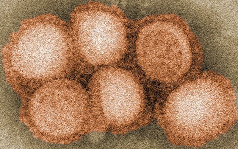 Đại dịch 1957-1958: Virus H2N2