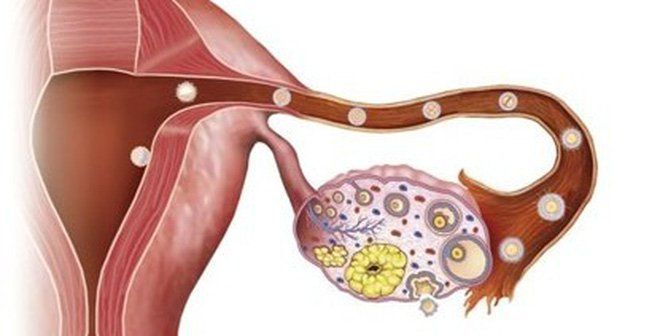 Chiều cao ảnh hưởng đến sức khỏe của bạn như thế nào?