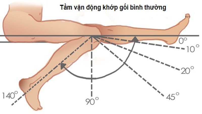 Thế nào là biên độ vận động của khớp?