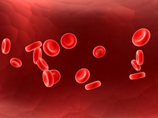 Ý nghĩa của chỉ số mcv trong xét nghiệm máu
