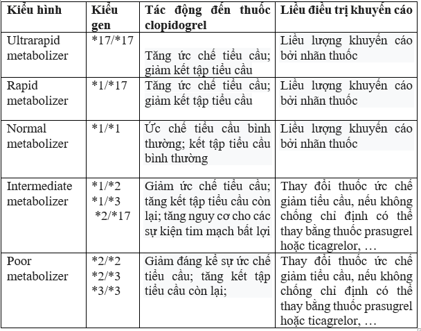 Xét nghiệm gen trong đáp ứng điều trị thuốc Clopidorgel trong can thiệp tim mạch