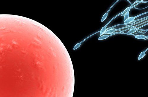 Khả năng di động của tinh trùng kém: Nguyên nhân, cách điều trị