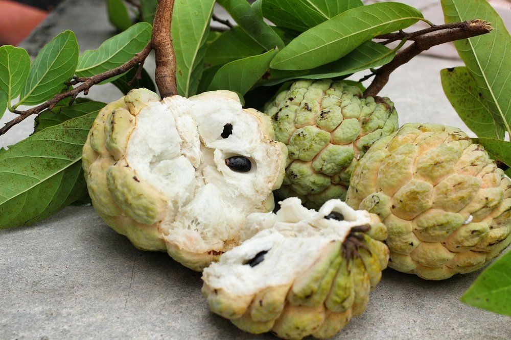 Giá trị dinh dưỡng của quả na