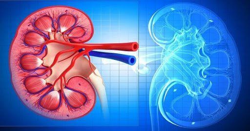 Các xét nghiệm trong Lab dùng để chẩn đoán Lupus