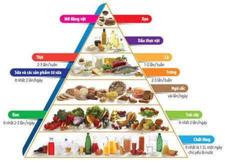Tư vấn chế độ dinh dưỡng cho bé 2 tuổi