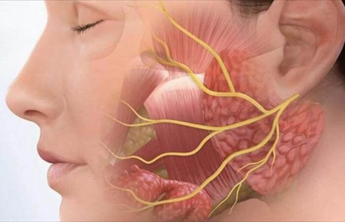 Kỹ thuật chụp x quang tuyến nước bọt