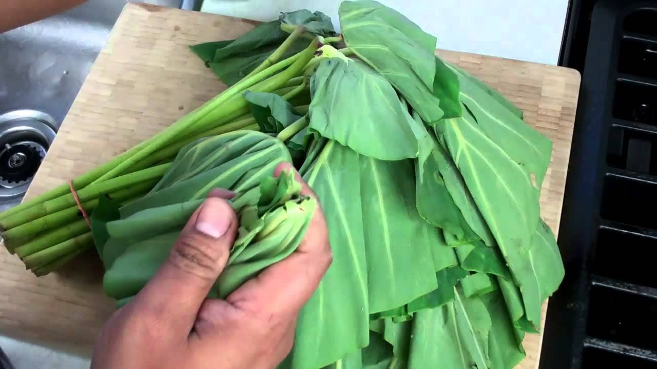 Lá khoai môn: Dinh dưỡng, lợi ích và công dụng