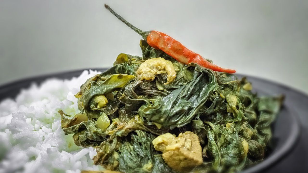Lá khoai môn: Dinh dưỡng, lợi ích và công dụng
