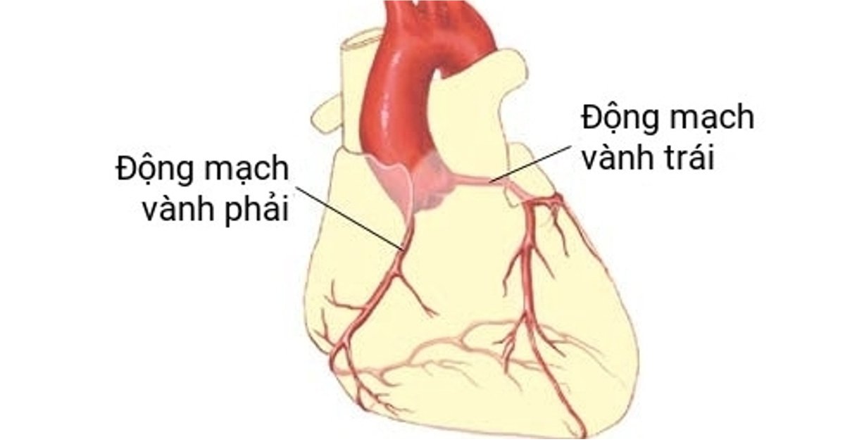 Điều gì xảy ra nếu tâm thất phải không hoạt động đúng cách?
