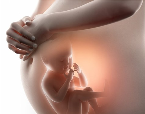 Nguyên nhân, hướng xử lý giãn bể thận ở thai nhi