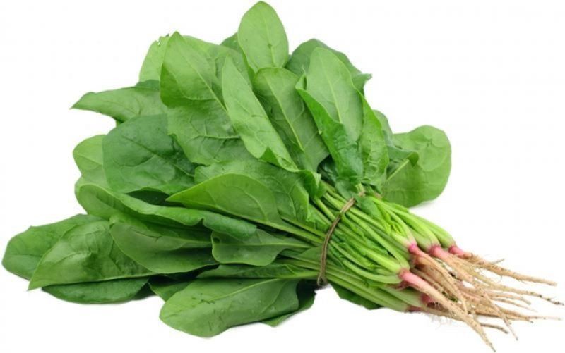 Cà chua là trái cây hay rau?