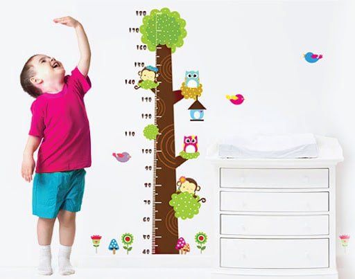 Dinh dưỡng cho trẻ mới biết đi và trẻ chuẩn bị đi học