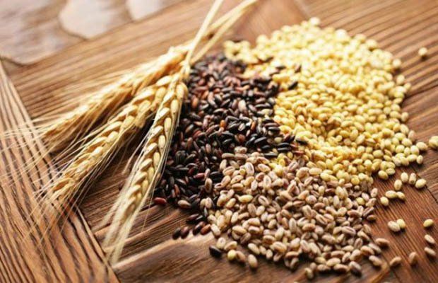 Lúa mạch có tốt cho bạn không? Dinh dưỡng, lợi ích và cách nấu