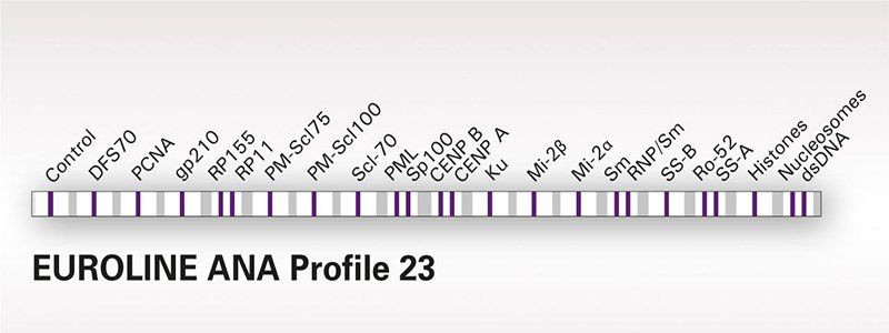 Xét nghiệm 23 kháng thể kháng nhân (ANA 23 Profile)