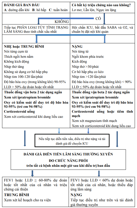 Chẩn đoán và xử trí cơn hen phế quản nặng ở người lớn