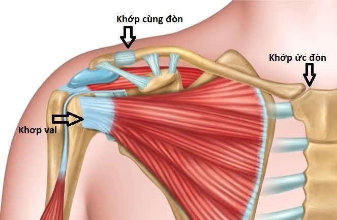 Hình ảnh trật khớp cùng đòn chụp x quang ở tư thế trước và sau