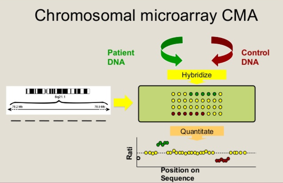 Kỹ thuật Microarray: Lợi ích, hạn chế và ứng dụng sau sinh