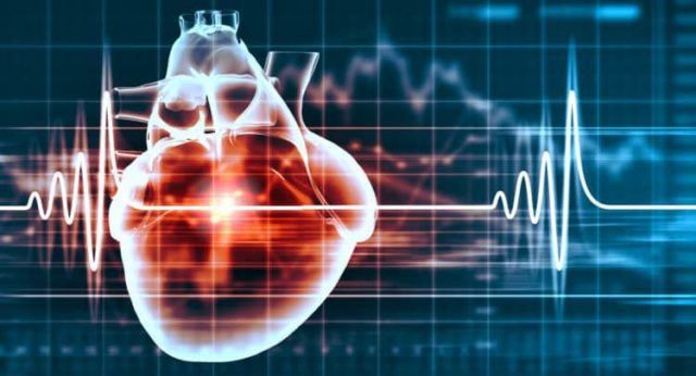 Điều gì điều khiển nhịp đập của trái tim?
