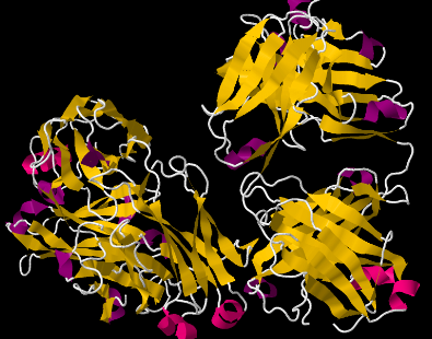 Bệnh tan máu tự miễn có chữa được không?