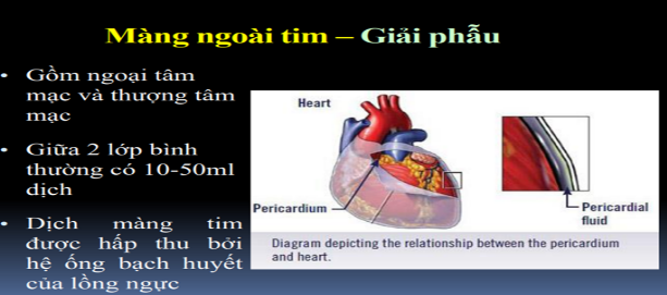 Ép tim cấp là gì? Các dấu hiệu nhận biết và điều trị