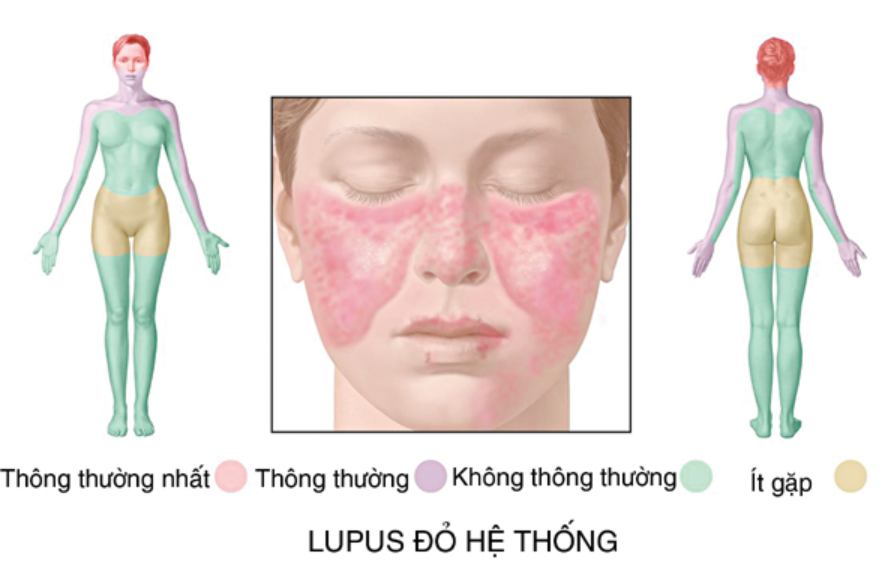 Hiểu về rụng tóc - Những điều cơ bản