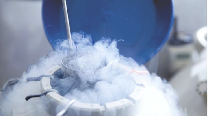 Thực hiện IVF: Trường hợp nào cần hỗ trợ phôi thoát màng?