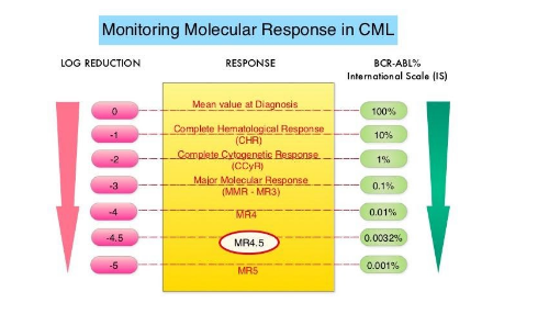 Xét nghiệm định lượng mức độ phiên mã gen dung hợp BCR-ABL1 trong điều trị ung thư máu dòng tủy mạn tính