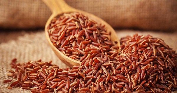 Ăn gạo lứt có tốt và có giảm cân không?