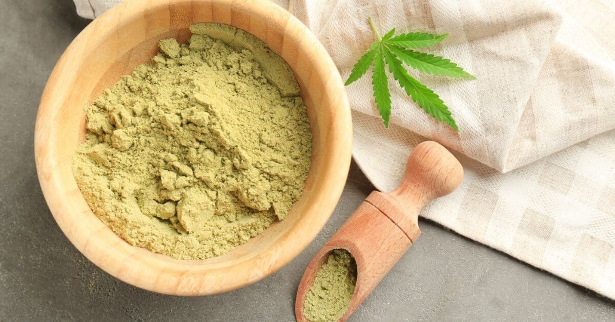 Bột protein gai dầu: Protein dựa trên thực vật tốt nhất?