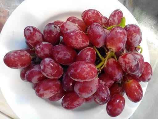 12 lợi ích sức khỏe của việc ăn nho hàng ngày