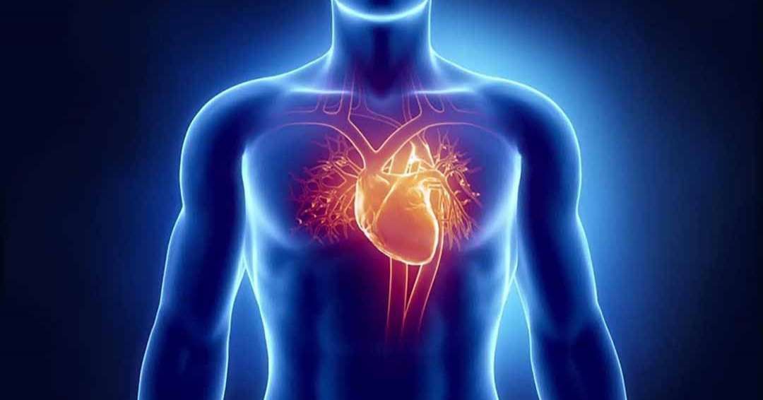 Kiểm soát chu vi vòng bụng, tránh béo phì: Cách đo vòng eo