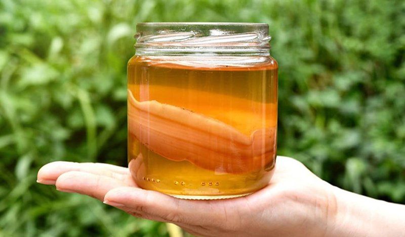 11 loại thực phẩm Probiotic siêu tốt cho sức khỏe