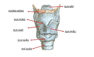 Quy trình kỹ thuật mở khí quản cấp cứu