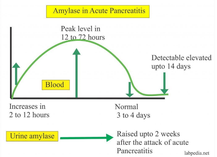 Xét nghiệm Lipase và amylase trong viêm tụy cấp