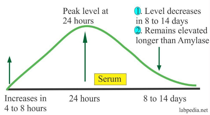 Xét nghiệm Lipase và amylase trong viêm tụy cấp