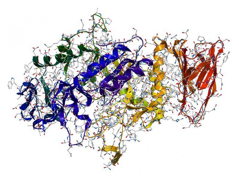 Xét nghiệm Lipase và amylase trong viêm tụy cấp