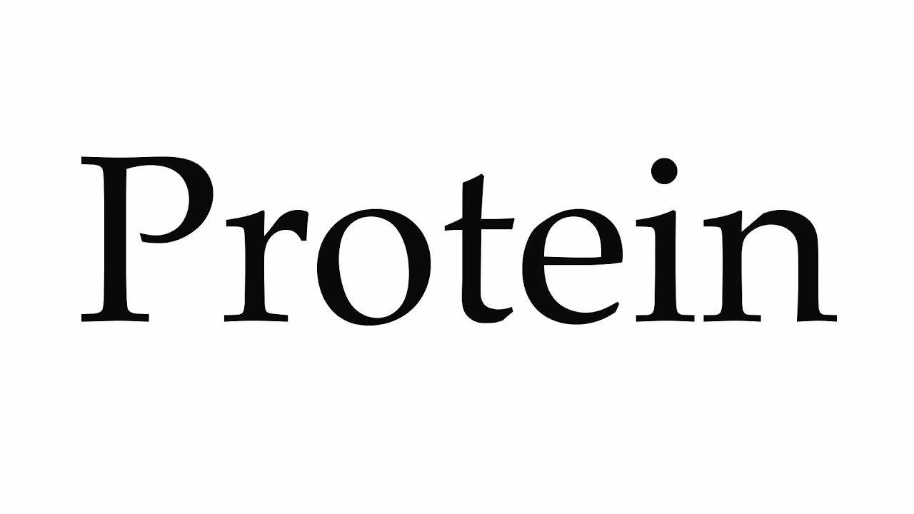 Hãy nạp đủ lượng protein bạn cần