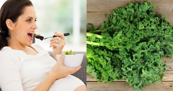 Có thể ăn cải xoăn khi đang mang thai hoặc sau sinh con?
