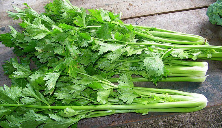 Rau nào ăn vào mất sữa?