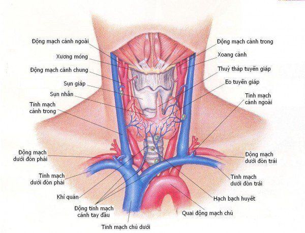 Phương pháp chẩn đoán