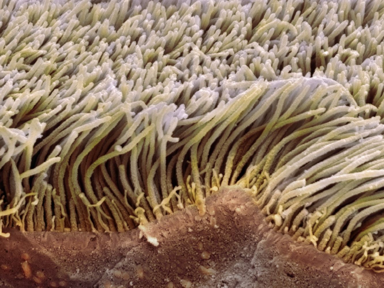 Điều gì xảy ra sau khi bạn bỏ thuốc lá?