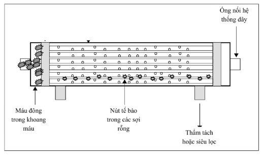 Suy yếu thận nhân tạo và chiến lược tối ưu đời sống quả lọc trong điều trị thay thế thận liên tục