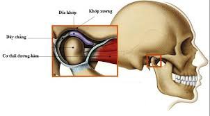 Mục đích chụp x quang xương chũm