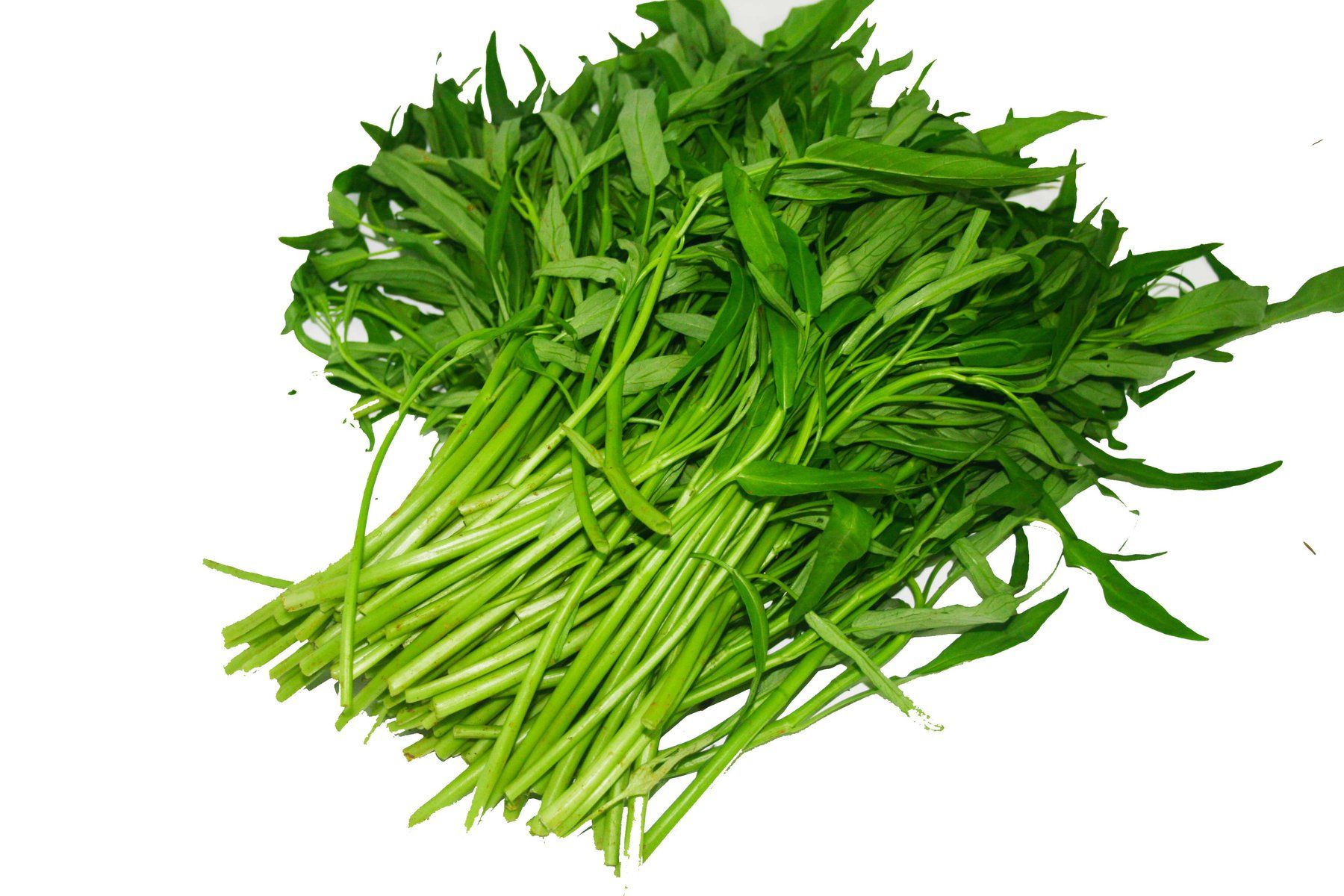 Không nên ăn gì khi bị vết thương hở?