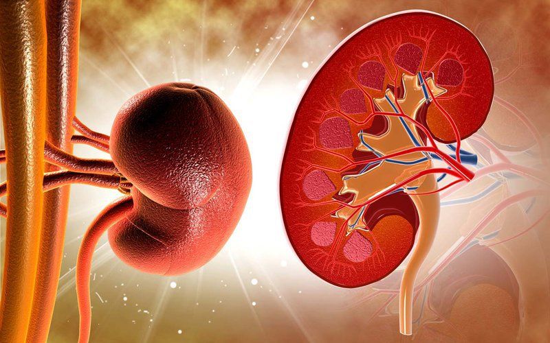 Ý nghĩa của việc thải trừ thuốc khỏi cơ thể