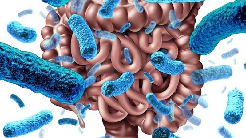 Các biến chứng của hội chứng ruột ngắn ở người lớn