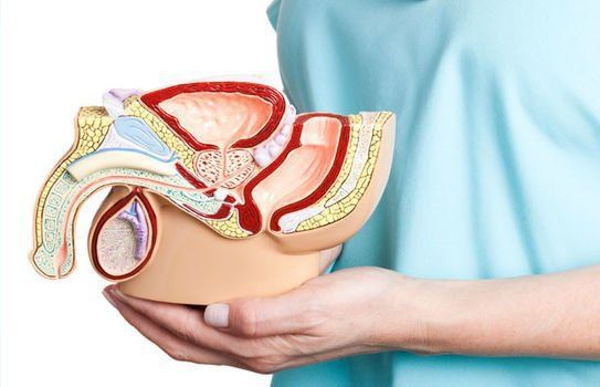Siêu âm nam khoa: Phân loại và mục đích
