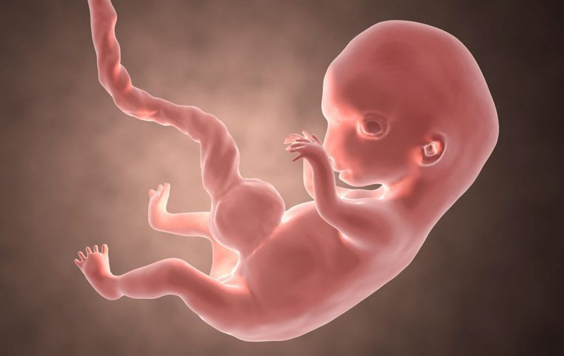 Bị chậm kinh bao nhiêu ngày có thể đi siêu âm thai được?