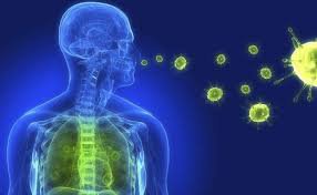 Bệnh do virus Cytomegalo gây điếc